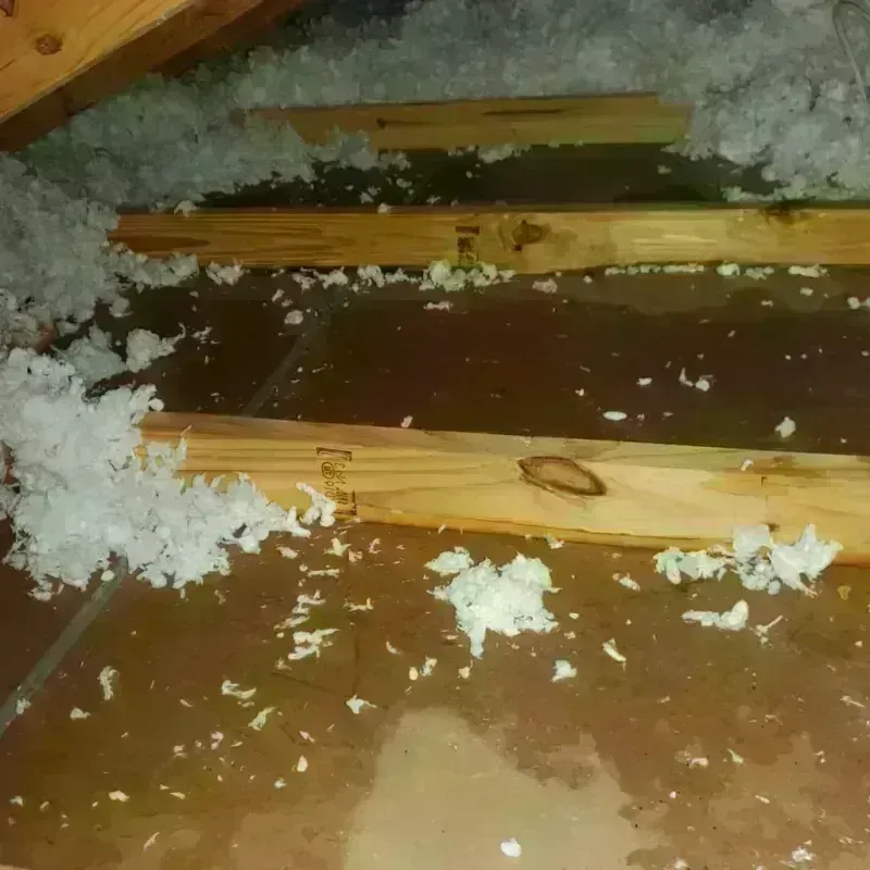 Attic Water Damage in Clark County, NV