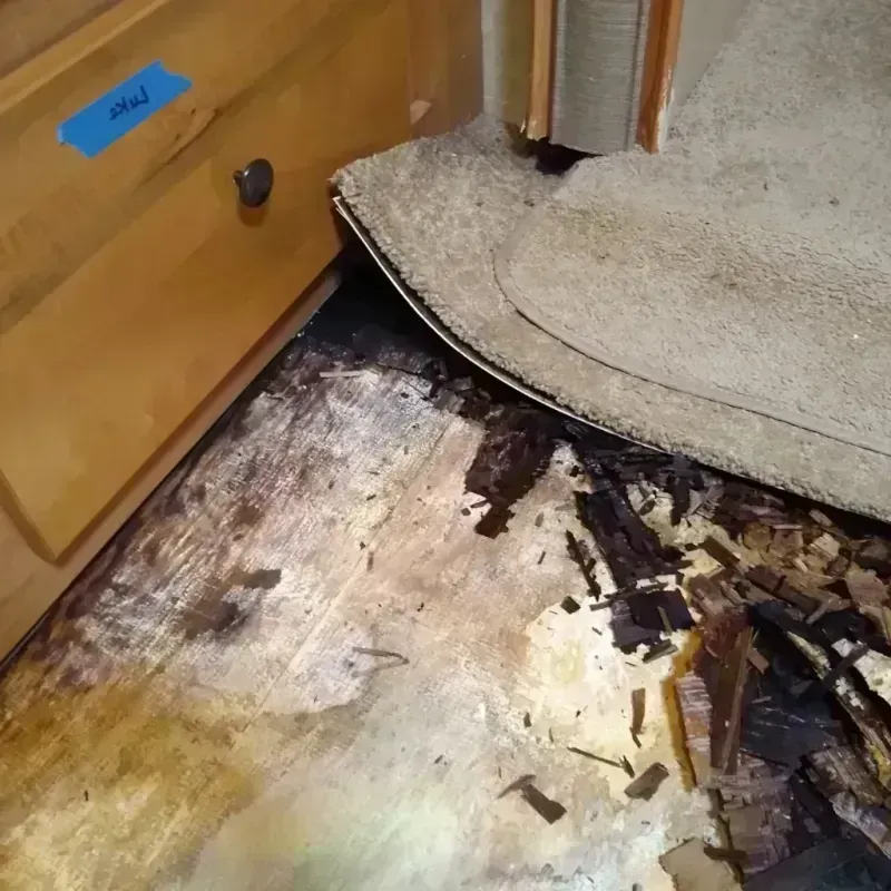 Wood Floor Water Damage in Clark County, NV